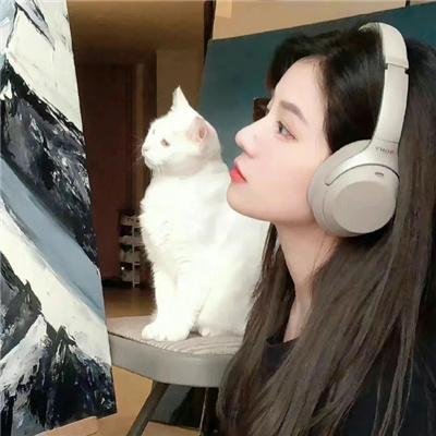 新报仇